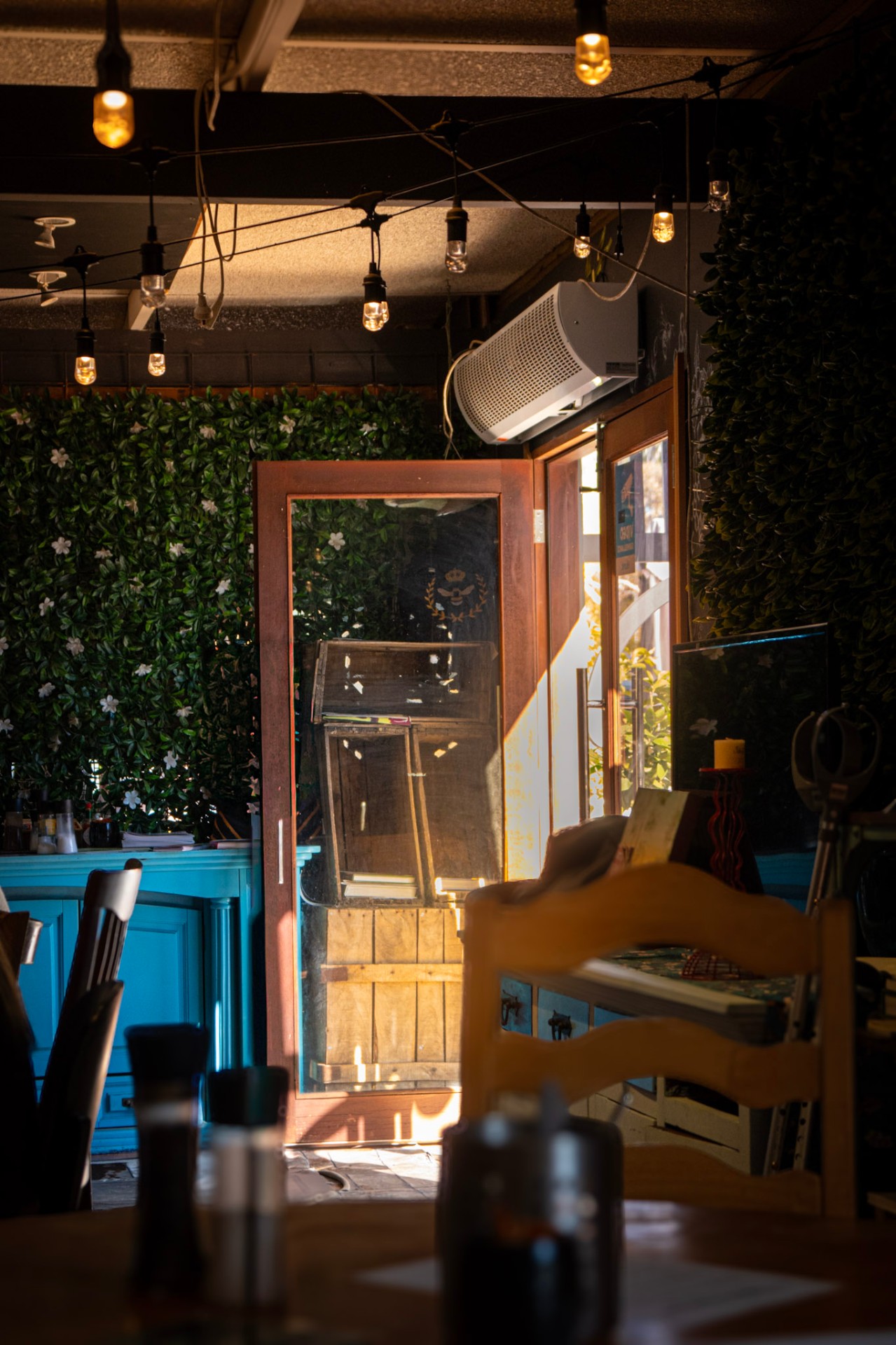 Inside The Hive Darlington — string lights, greenery wall, and full tables