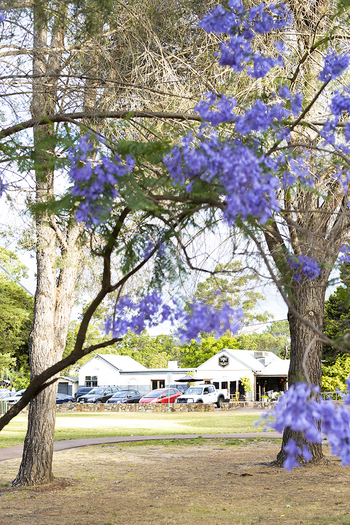 The Hive Darlington verandah